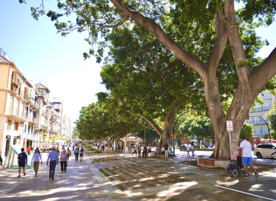 Parque en Málaga